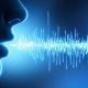 linguaggio naturale nel settore della BI